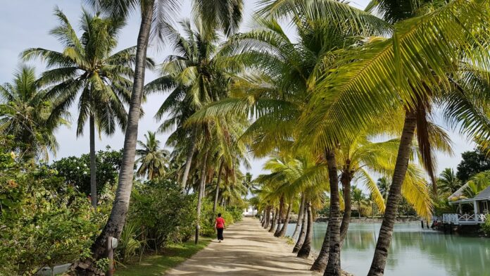 Explore Denarau Fiji: Luxury Resorts, Golf & Beach Bliss