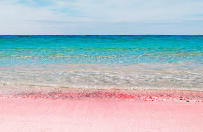 What makes pink sand in bermuda